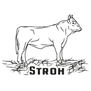 Chinesischer Turm Ochsenfleisch